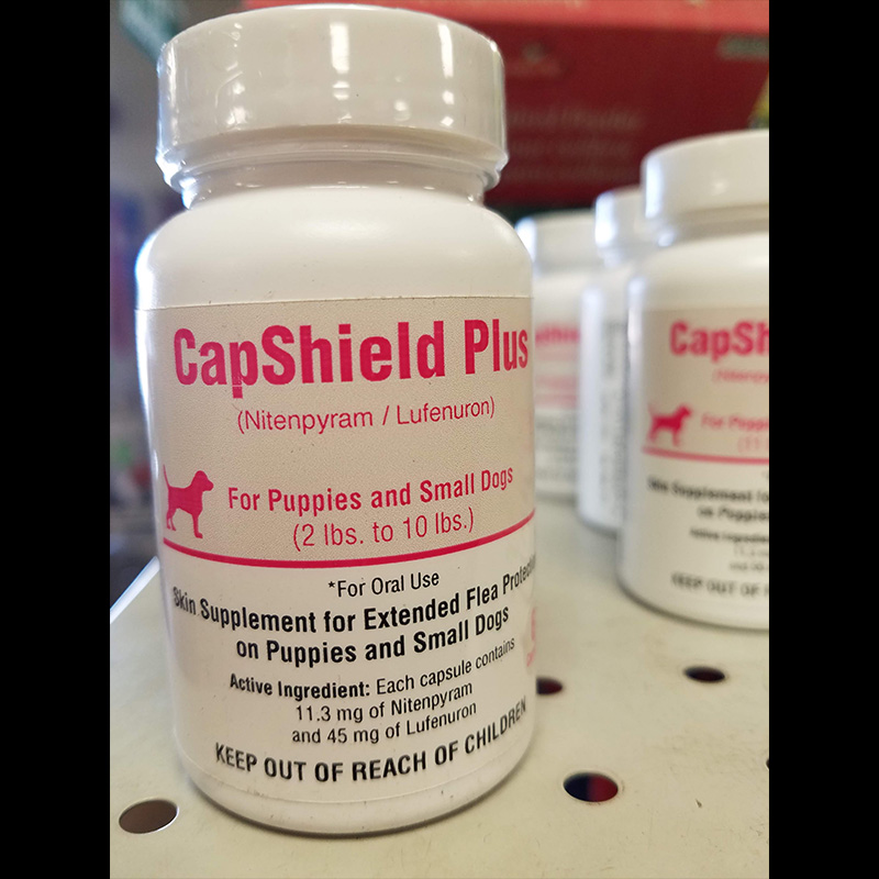CapShield Plus Dogs Extended Flea Protection 