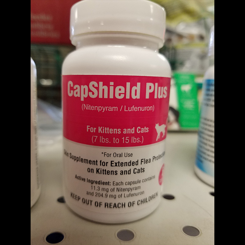 CapShield Plus for Kittens and Cats