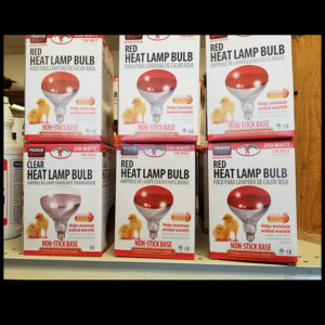 Red & Clear Heat Lamp Bulb